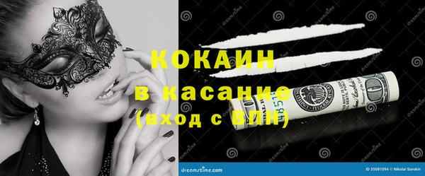 ГАЛЛЮЦИНОГЕННЫЕ ГРИБЫ Арсеньев